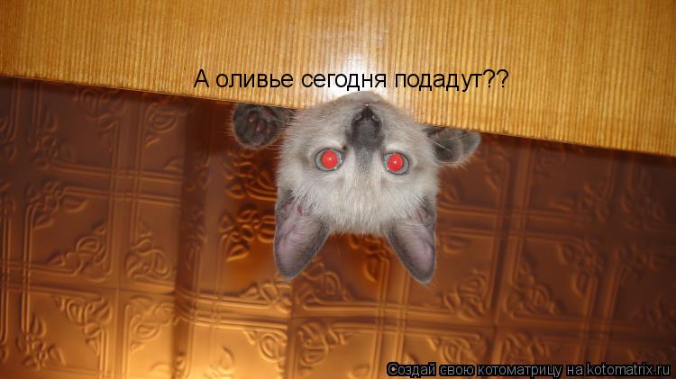 Котоматрица: А оливье сегодня подадут??