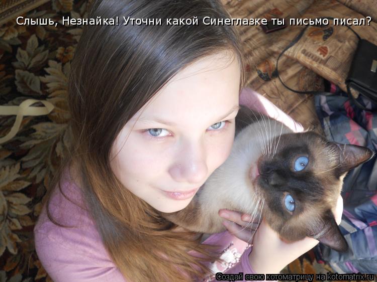 Котоматрица: Слышь, Незнайка! Уточни какой Синеглазке ты письмо писал?