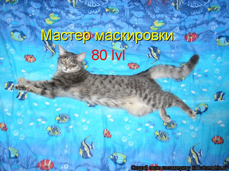 Котоматрица: Мастер маскировки 80 lvl