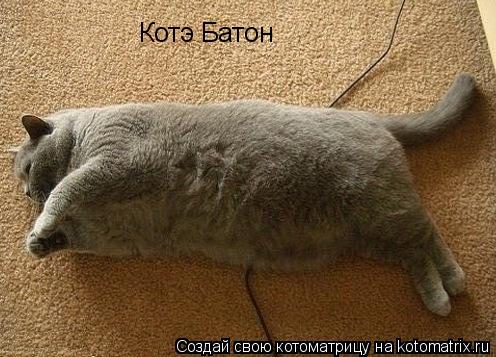 Котоматрица: Котэ Батон