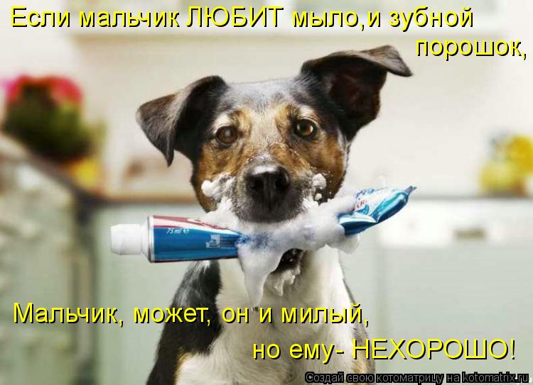 Если мальчик ЛЮБИТ мыло,и зубной порошок, Мальчик, может, он и милый, но ему- НЕХОРОШО!... Котоматрица: Если мальчик ЛЮБИТ мыло,и зубной порошок, Мальчик, может, он и милый, но ему- НЕХОРОШО!