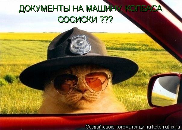 Котоматрица: ДОКУМЕНТЫ НА МАШИНУ, КОЛБАСА СОСИСКИ ???