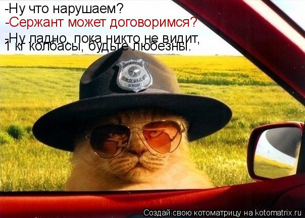 Котоматрица: -Ну что нарушаем? -Ну ладно, пока никто не видит,  1 кг колбасы, будьте любезны. -Сержант может договоримся?