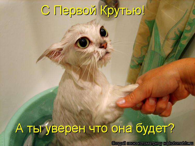 Котоматрица: С Первой Крутью! А ты уверен что она будет?