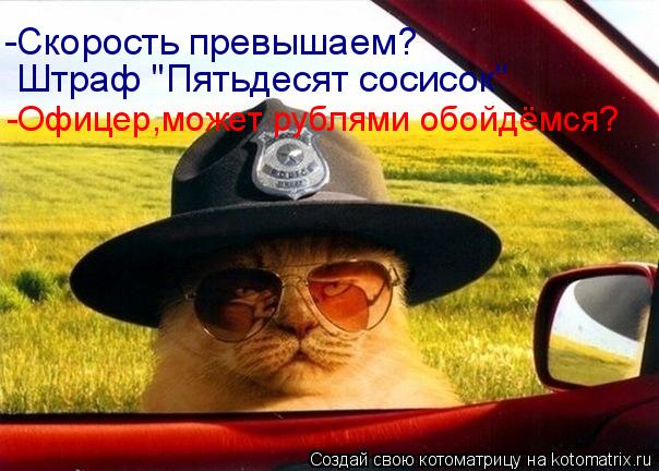 Котоматрица: -Скорость превышаем? Штраф "Пятьдесят сосисок" -Офицер,может рублями обойдёмся?