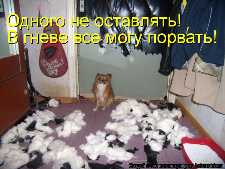 Котоматрица: В гневе все могу порвать! Одного не оставлять!