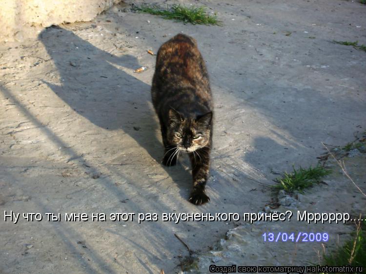 Котоматрица: Ну что ты мне на этот раз вкусненького принёс? Мрррррр........