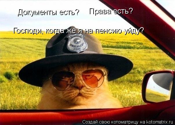 Котоматрица: Документы есть? Права есть? Господи, когда же я на пенсию уйду?