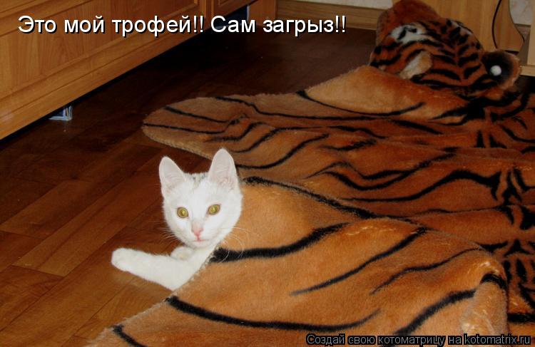 Котоматрица: Это мой трофей!! Сам загрыз!!