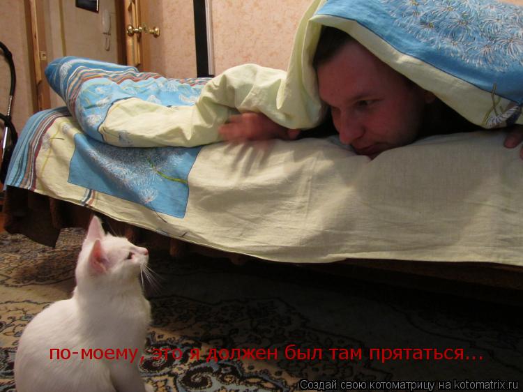 Котоматрица: по-моему, это я должен был там прятаться...