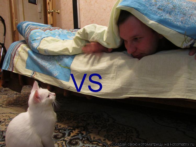 Котоматрица: VS