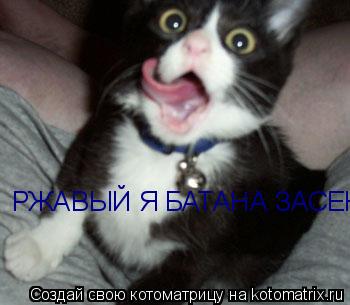 Котоматрица: РЖАВЫЙ Я БАТАНА ЗАСЕК