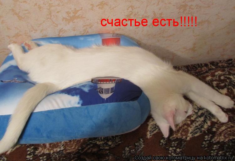Котоматрица: счастье есть!!!!!