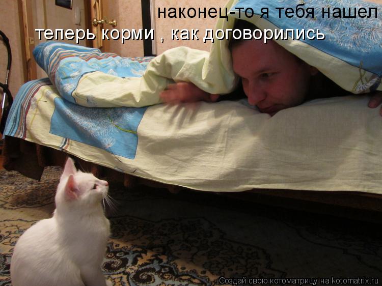 Котоматрица: наконец-то я тебя нашел теперь корми , как договорились