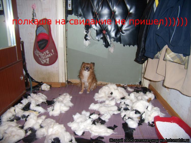 Котоматрица: полкаша на свидание не пришел))))))