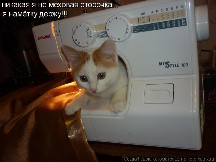 Котоматрица: никакая я не меховая оторочка... я намётку держу!!!