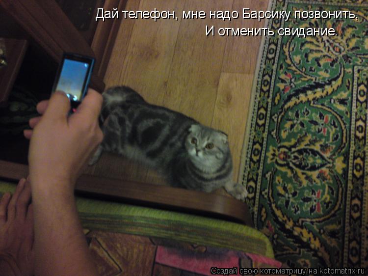 Котоматрица: Дай телефон, мне надо Барсику позвонить,  И отменить свидание.