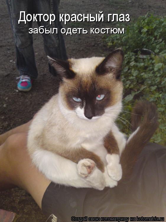 Котоматрица: Доктор красный глаз забыл одеть костюм