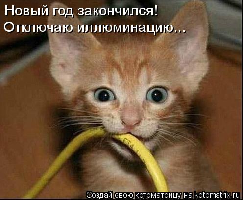 Котоматрица: Новый год закончился! Отключаю иллюминацию...