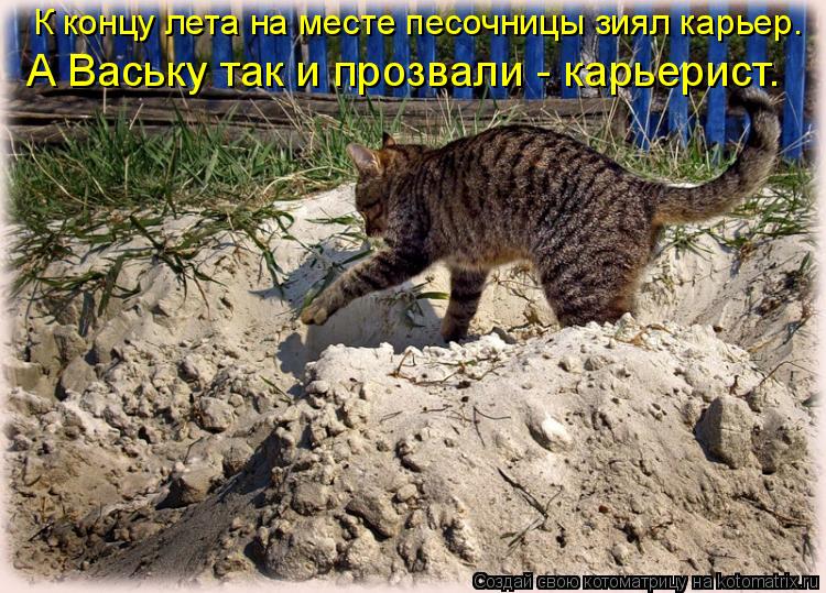 К концу лета на месте песочницы зиял карьер. А Ваську так и прозвали - карьерист.... Котоматрица: К концу лета на месте песочницы зиял карьер. А Ваську так и прозвали - карьерист.