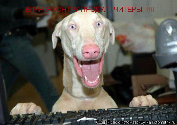 Котоматрица: БЛИН Я КОНТРУ ПРОДУЛ   ЧИТЕРЫ !!!!!