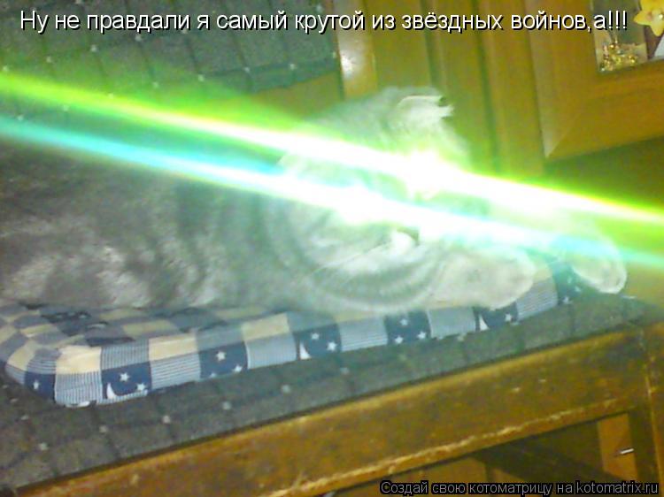 Котоматрица: Ну не правдали я самый крутой из звёздных войнов,а!!!