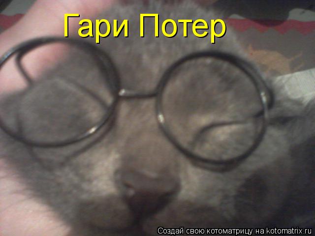 Котоматрица: Гари Потер