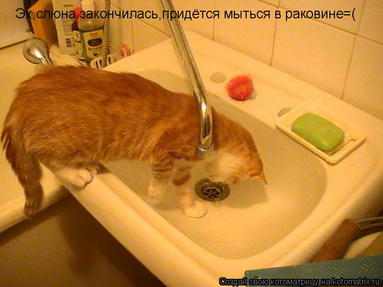 Котоматрица: Эх,слюна закончилась,придётся мыться в раковине=(