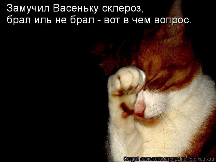 Замучил Васеньку склероз, брал иль не брал - вот в чем вопрос.... Котоматрица: Замучил Васеньку склероз, брал иль не брал - вот в чем вопрос.