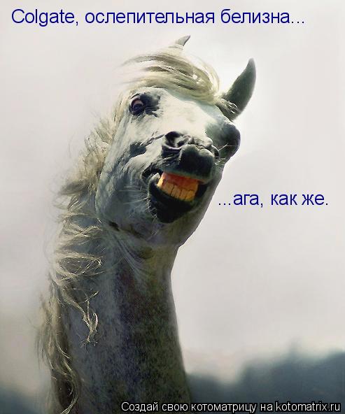 Котоматрица: Colgate, ослепительная белизна... ...ага, как же.