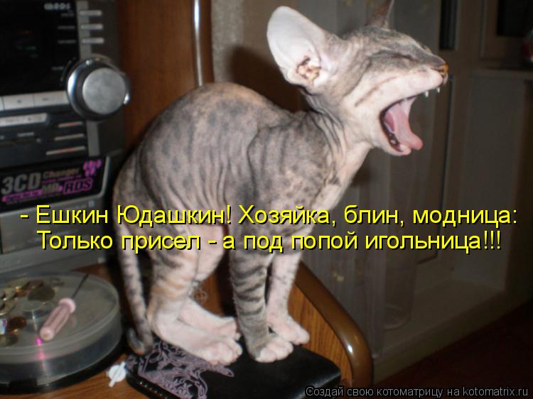 Котоматрица: - Ешкин Юдашкин! Хозяйка, блин, модница: Только присел - а под попой игольница!!!