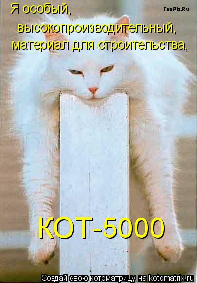 Котоматрица: Я особый, высокопроизводительный, материал для строительства, КОТ-5000