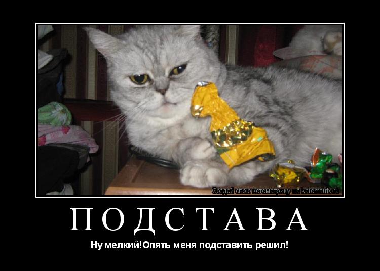 Котоматрица: подстава Ну мелкий!Опять меня подставить решил!