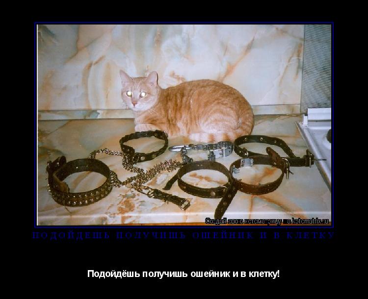 Котоматрица: Подойдёшь получишь ошейник и в клетку Подойдёшь получишь ошейник и в клетку!