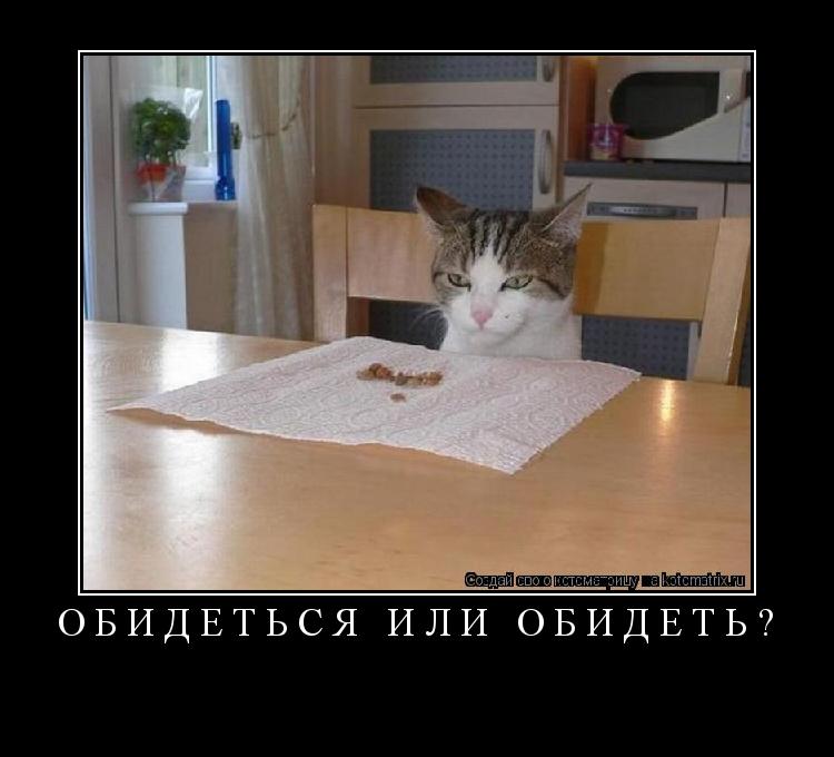 Котоматрица: ОБИДЕТЬСЯ ИЛИ ОБИДЕТЬ? 