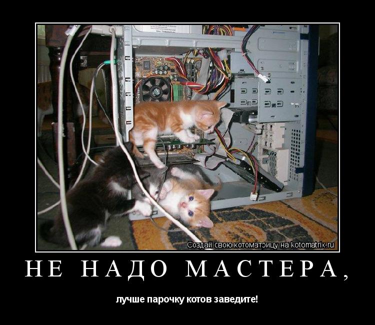 Котоматрица: Не надо мастера, лучше парочку котов заведите!