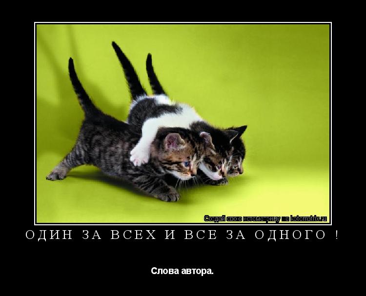 Котоматрица: Один за всех и все за одного ! Слова автора.