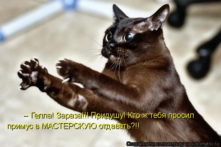 -- Гелла! Зараза!!! Придушу! Кто ж тебя просил примус в МАСТЕРСКУЮ отдавать?!!... Котоматрица: -- Гелла! Зараза!!! Придушу! Кто ж тебя просил примус в МАСТЕРСКУЮ отдавать?!!