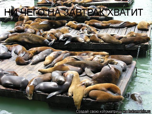 Котоматрица: НИ ЧЕГО НА ЗАВТРАК ХВАТИТ