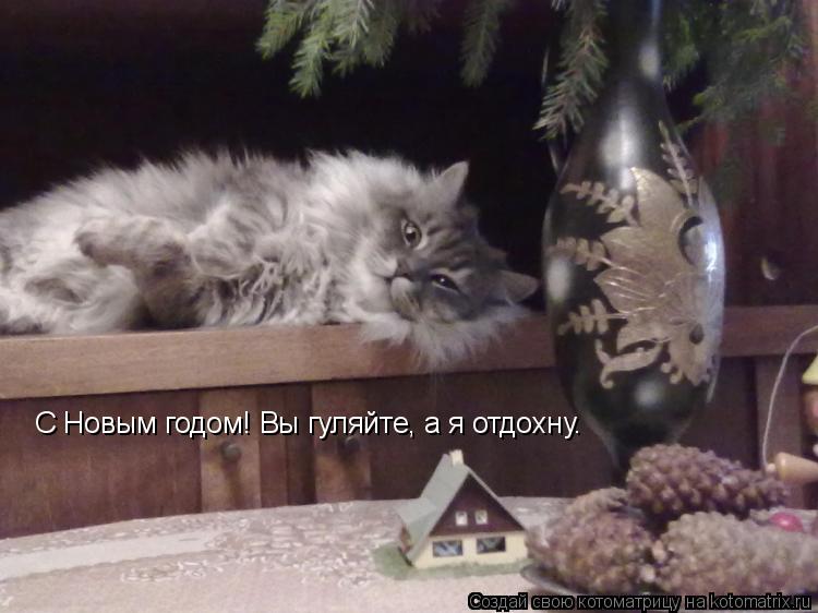 Котоматрица: С новым года С новым года С Новым годом! Вы гуляйте, а я отдохну.