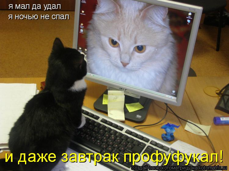 Котоматрица: я мал да удал я мал да удал я ночью не спал и даже завтрак профуфукал!