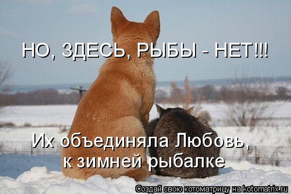 Котоматрица: Их объединяла Любовь, к зимней рыбалке НО, ЗДЕСЬ, РЫБЫ - НЕТ!!!