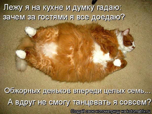 Котоматрица: Лежу я на кухне и думку гадаю:  зачем за гостями я все доедаю?  А вдруг не смогу танцевать я совсем?  Обжорных деньков впереди целых семь...