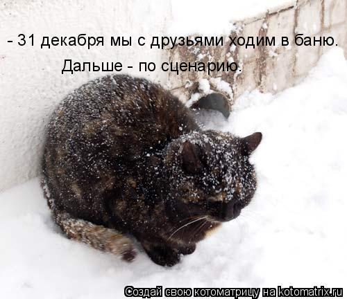 Котоматрица: - 31 декабря мы с друзьями ходим в баню. Дальше - по сценарию.