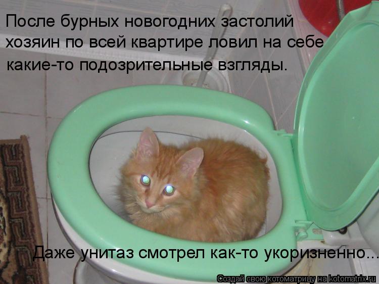 Котоматрица: После бурных новогодних застолий хозяин по всей квартире ловил на себе какие-то подозрительные взгляды. Даже унитаз смотрел как-то укоризн