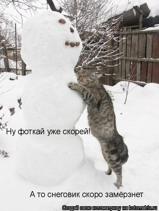 Котоматрица: Ну фоткай уже скорей! А то снеговик скоро замёрзнет