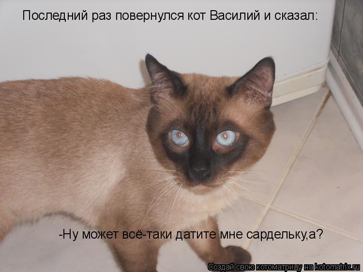 Котоматрица: Последний раз повернулся кот Василий и сказал: -Ну может всё-таки датите мне сардельку,а?