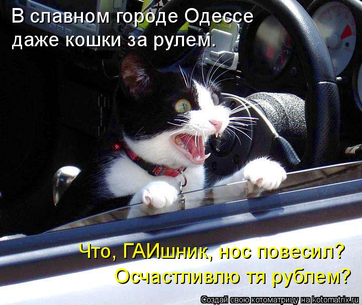 В славном городе Одессе даже кошки за рулем. Что, ГАИшник, нос повесил? Осчастливлю тя рублем?... Котоматрица: В славном городе Одессе даже кошки за рулем. Что, ГАИшник, нос повесил? Осчастливлю тя рублем?