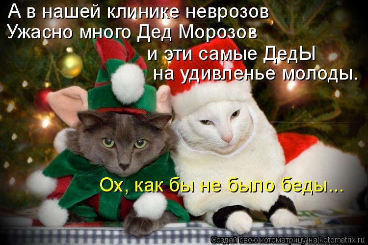 А в нашей клинике неврозов Ужасно много Дед Морозов и эти самые ДедЫ на удивленье молоды. Ох, как бы ... Котоматрица: А в нашей клинике неврозов Ужасно много Дед Морозов и эти самые ДедЫ на удивленье молоды. Ох, как бы не было беды...
