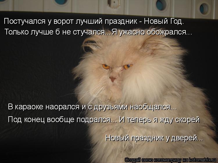 Котоматрица: Постучался у ворот лучший праздник - Новый Год. Только лучше б не стучался...Я ужасно обожрался... В караоке наорался и с друзьями наобщался... 